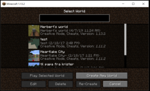 Running and connecting to a local Minecraft server 2